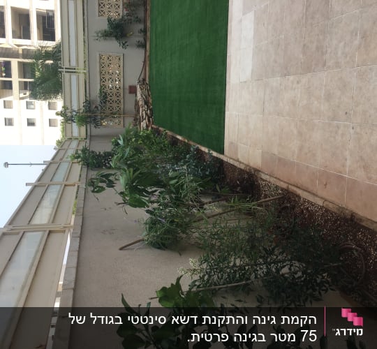 גינה עם צמחים ירוקים ודשא מלאכותי